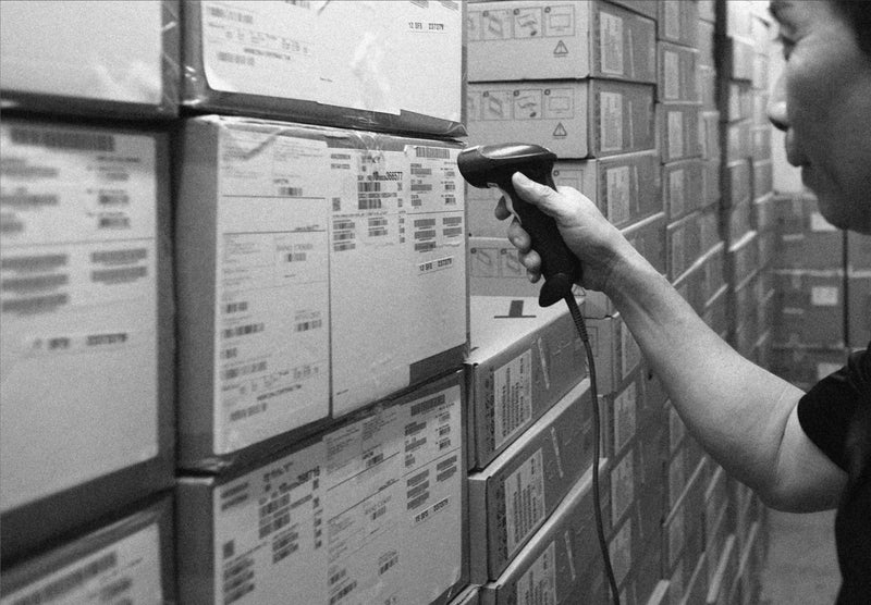 Reflecting on Our Green Team's Impact